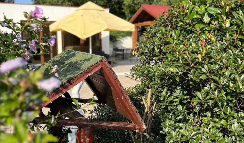 Bajor Panzi Aparthotel Bk, Bkfrd - Mjus 1.