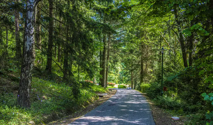 Hotel Bakony Bakonybl - Mjus 1. (min. 2 j)