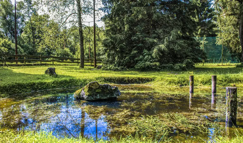 Hotel Bakony Bakonybl - Mjus 1. (min. 2 j)