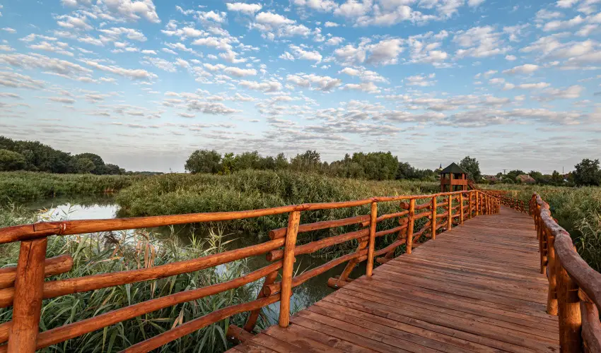 Barack Thermal Apartmanok Tiszakcske - Mjus 1.