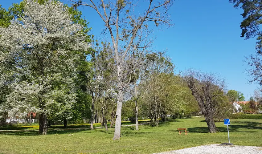 Batthyny Kria Zalacsny - Mjus 1. (min. 3 j)