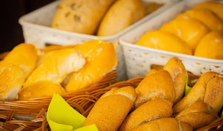 Bazilika alatti Panzi Esztergom - Mjus 1. 