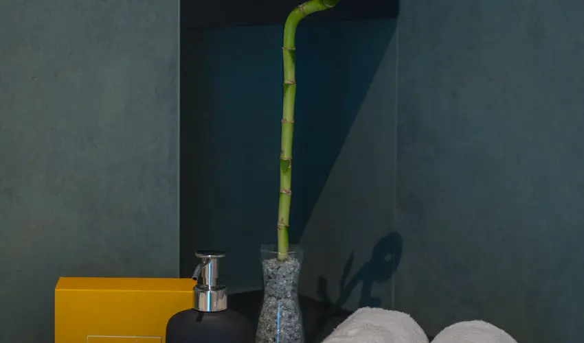 BJ81 Suite Hotel Sifok - Mjus 1. - teljes elrefizetssel (min. 3 j)