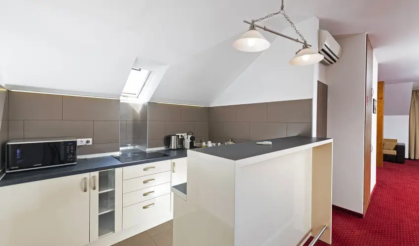 Bodrogi Kria Wellness Hotel Inrcs - Mjus 1.