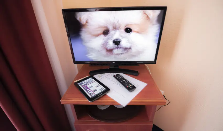 Boglrka Panzi-tterem  Mezkvesd - Mjus 1. (min. 2 j)