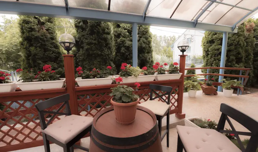 Boglrka Panzi-tterem  Mezkvesd - Mjus 1. (min. 2 j)