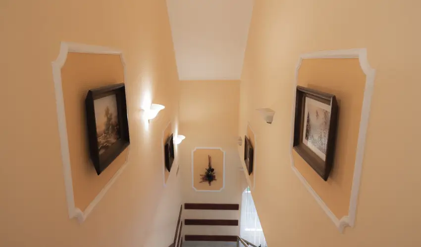 Boglrka Panzi-tterem  Mezkvesd - Mjus 1. (min. 2 j)