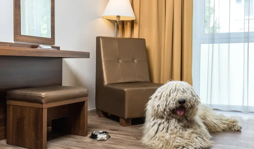 Bonvital Wellness & Gastro Hotel Hévíz Hévíz - Május 1.