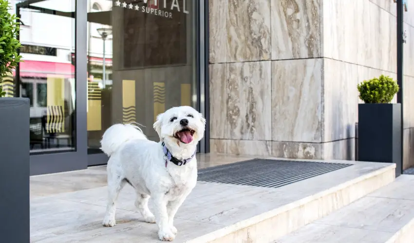 Bonvital Wellness & Gastro Hotel Hévíz Hévíz - Május 1.