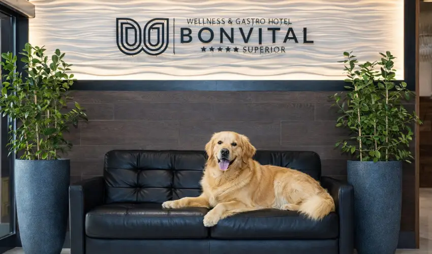 Bonvital Wellness & Gastro Hotel H�v�z H�v�z - M�jus 1. - teljes el�refizet�ssel