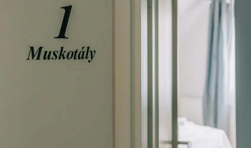 Borbartok Panzi Badacsonytomaj - Mjus 1. (min. 2 j)