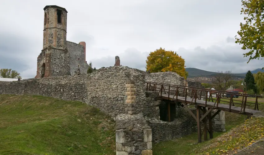 Borka Panzi Pardfrd - Mjus 1. (min. 2 j)