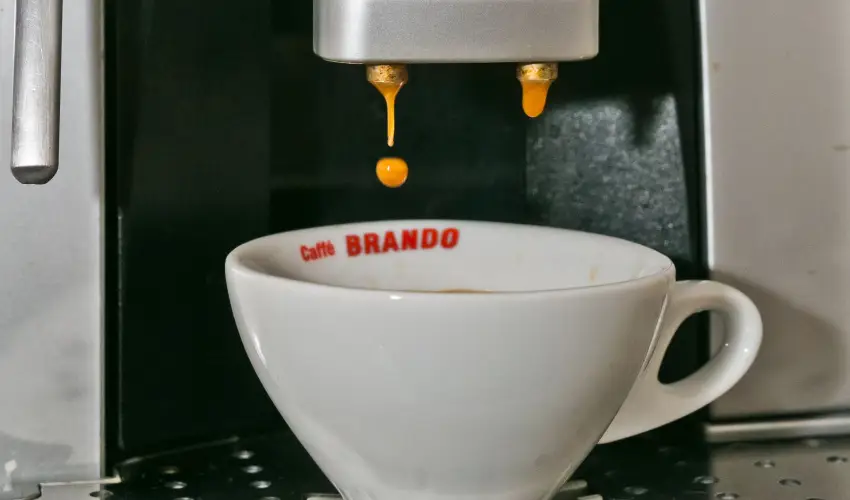 Borka Panzi Pardfrd - Mjus 1. (min. 2 j)