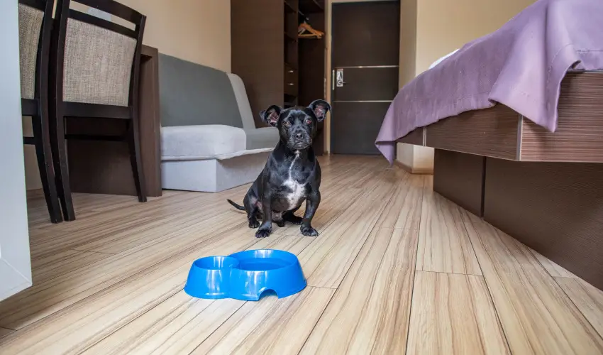 CE Plaza Hotel Si�fok - CE Plaza wellness Maj�lis & Any�k napja (min. 2 �j)