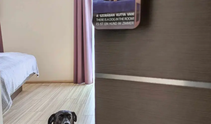 CE Plaza Hotel Si�fok - CE Plaza wellness Maj�lis & Any�k napja (min. 2 �j)