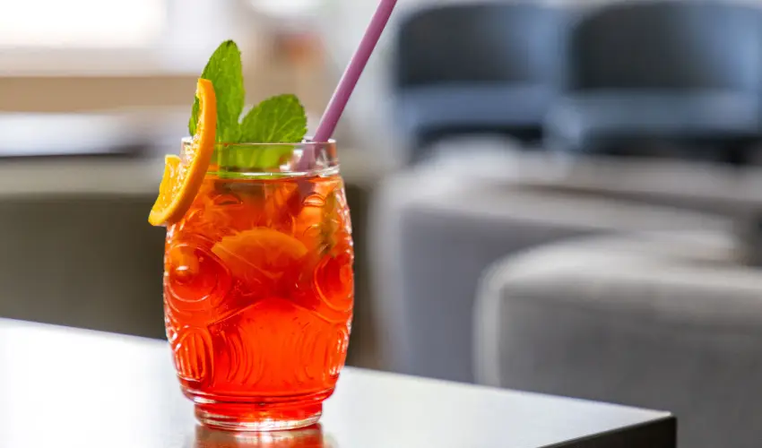 CE Plaza Hotel Si�fok - CE Plaza wellness Maj�lis & Any�k napja (min. 2 �j)