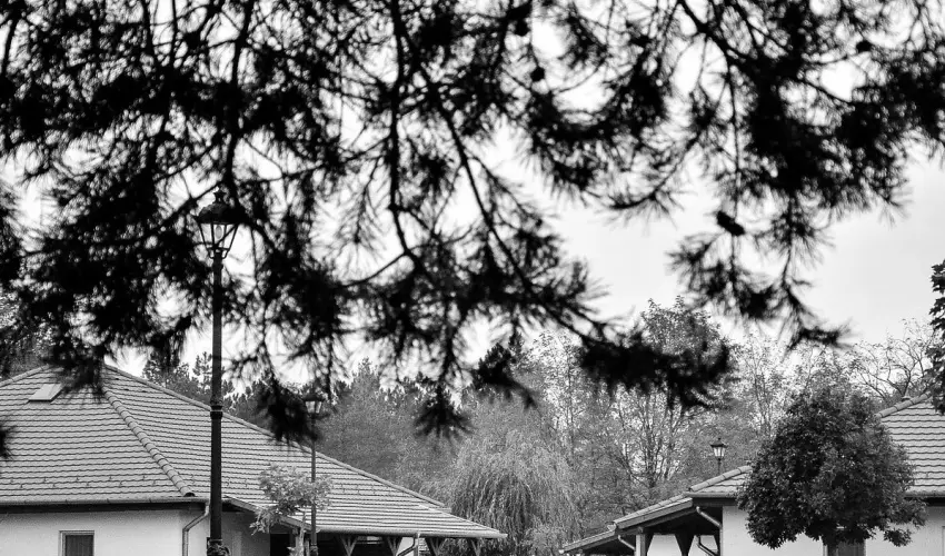 Cegl�df�rd� Apartmanpark �s Kemping Cegl�d - M�jus 1. (min. 2 �j)