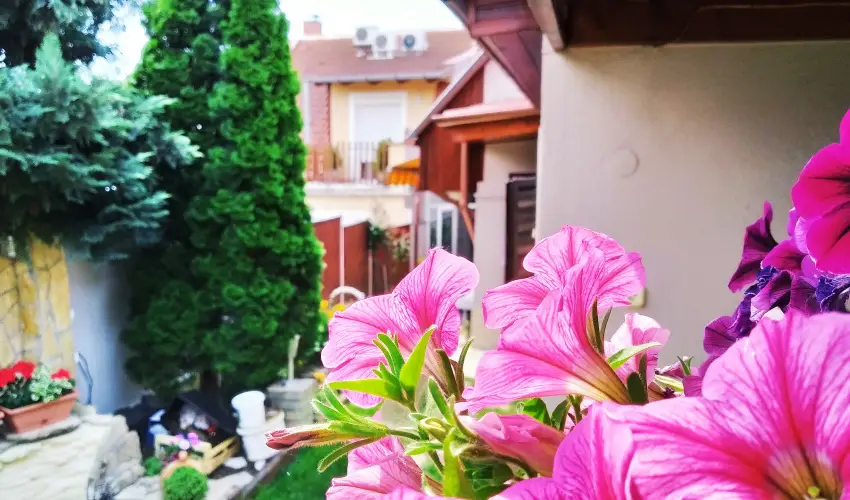 Csobog Vendghz Eger - Mjus 1. (min. 2 j)