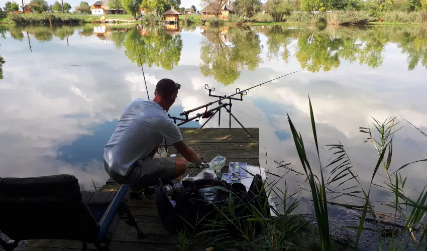 Csodaszarvas Tjpark Rbahdvg - Mjus 1. (min. 2 j)