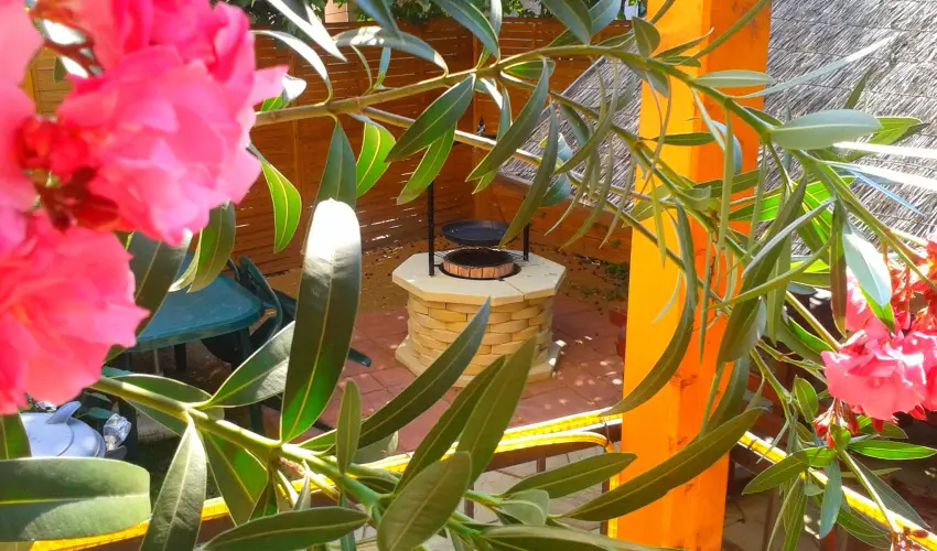 Dek Vendghz Hajdszoboszl - Mjus 1. (min. 2 j)