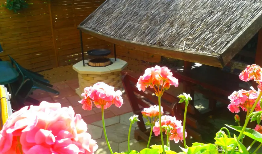 Dek Vendghz Hajdszoboszl - Mjus 1. (min. 2 j)