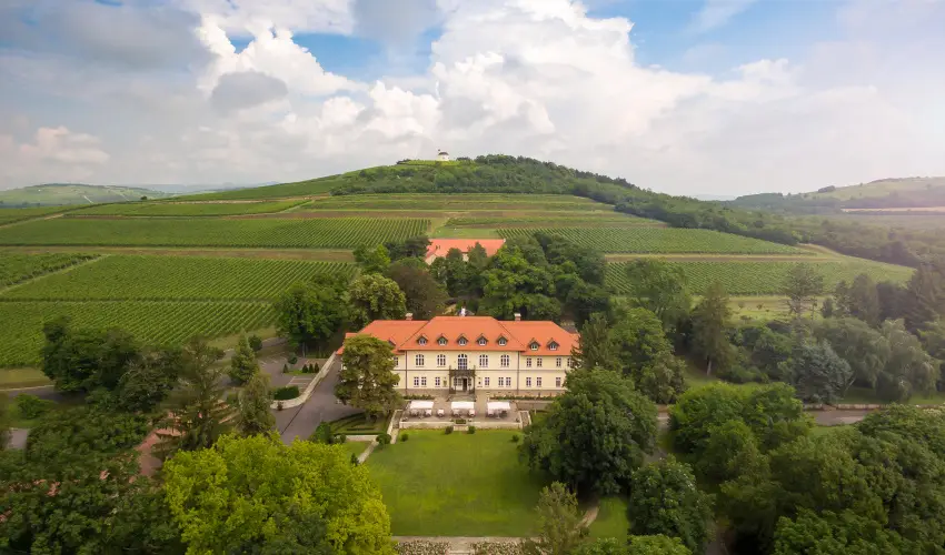 gr�f Degenfeld Kast�lysz�ll� Tarcal - M�jus 1. 