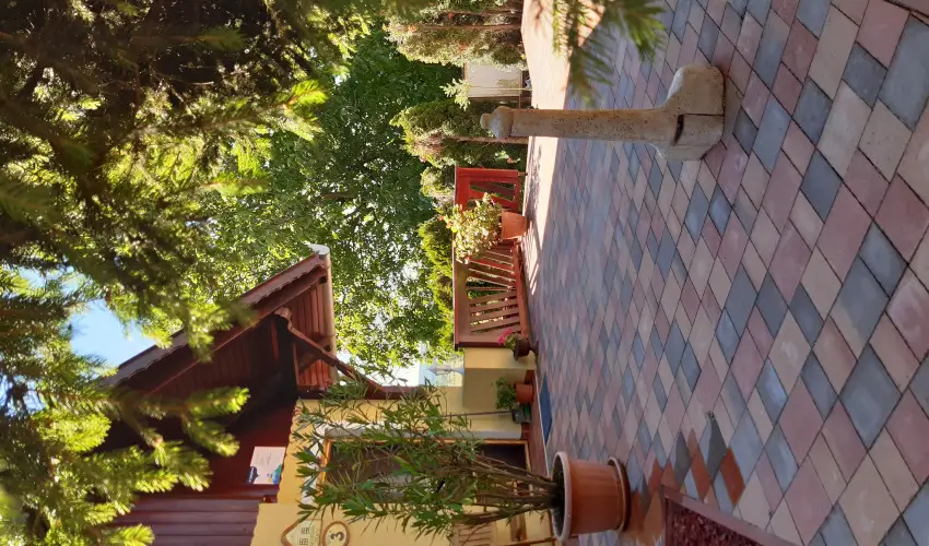 Difa Vendghz Kehidakustny - Mjus 1.