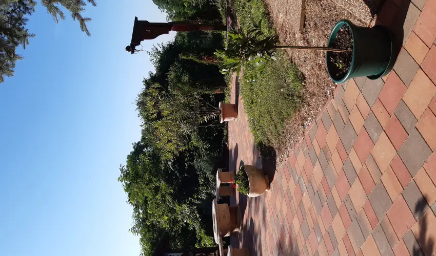 Difa Vendghz Kehidakustny - Mjus 1.