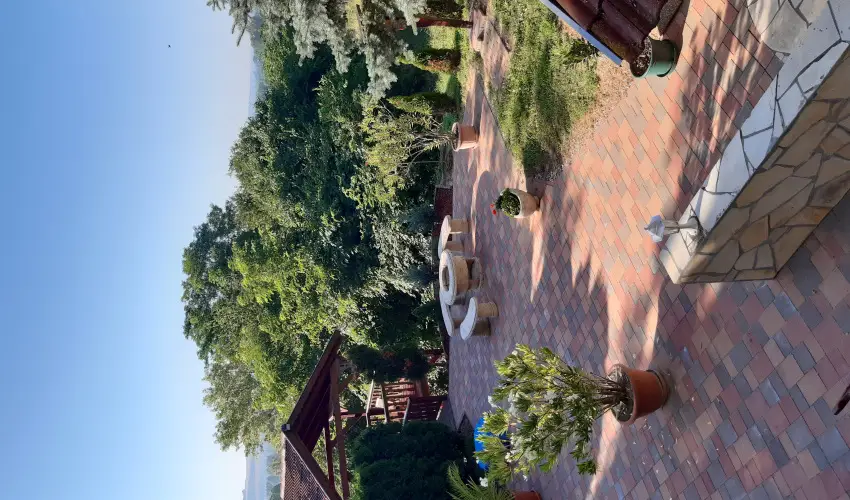 Difa Vendghz Kehidakustny - Mjus 1.