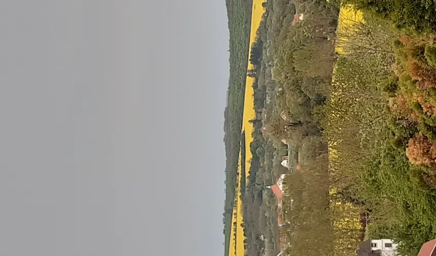 Difa Vendghz Kehidakustny - Mjus 1.