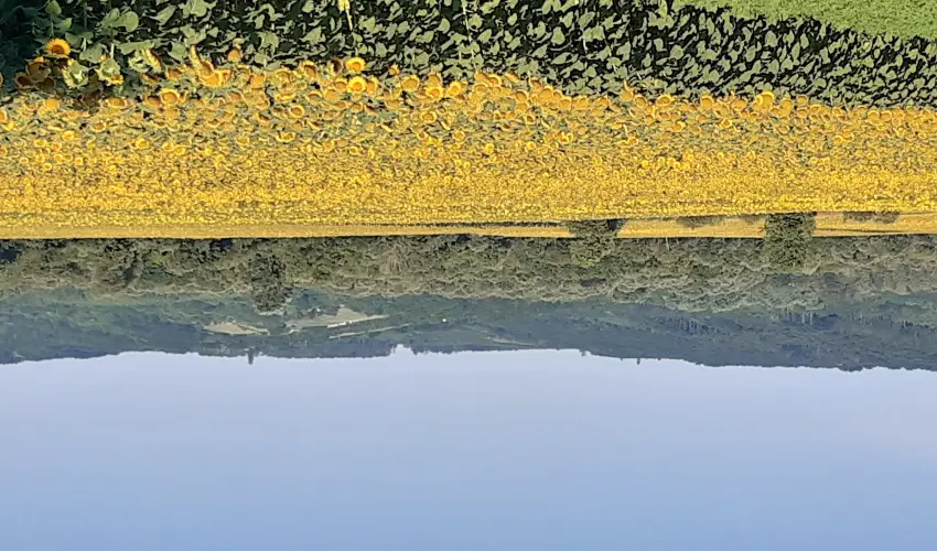 Difa Vendghz Kehidakustny - Mjus 1.