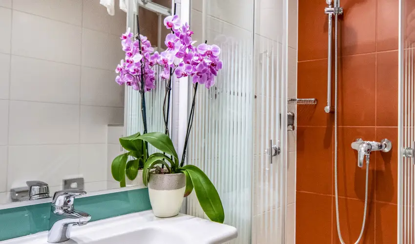 Dráva Hotel Thermal Resort Harkány - Anyák napi és Május 1. hosszú hétvége - teljes előrefizetéssel (min. 2 éj)