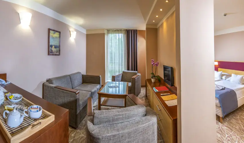 Dráva Hotel Thermal Resort Harkány - Anyák napi és Május 1. hosszú hétvége - teljes előrefizetéssel (min. 2 éj)