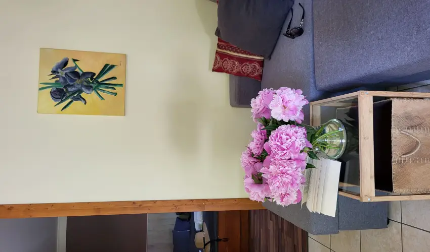 Dream Horse Apartman Cserkeszl - Mjus 1. (min. 2 j)