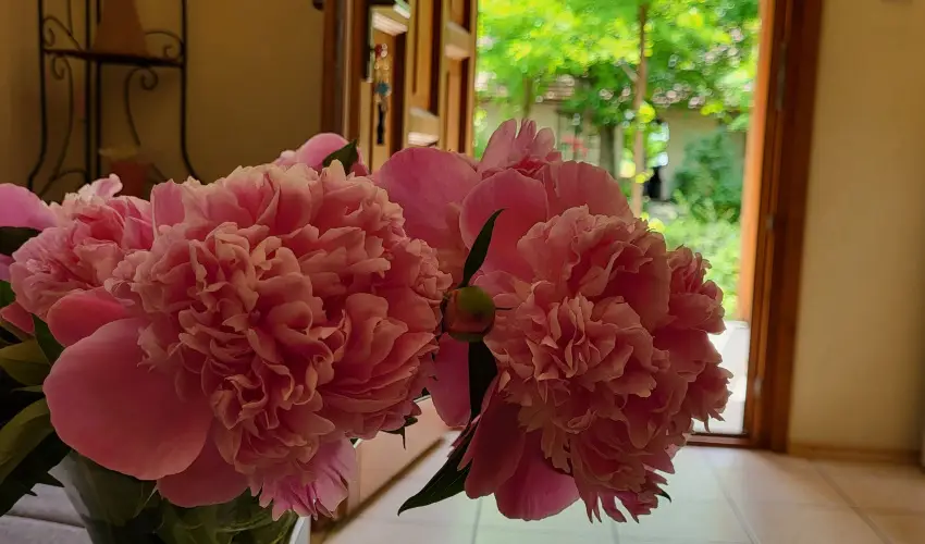 Dream Horse Apartman Cserkeszl - Mjus 1. (min. 2 j)