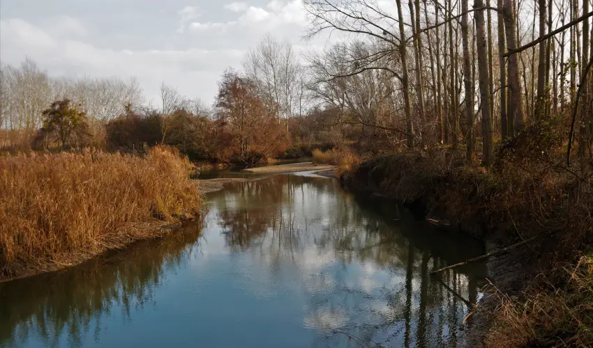 Duna-Beach Apartman Kimle - Mjus 1. (min. 2 j)