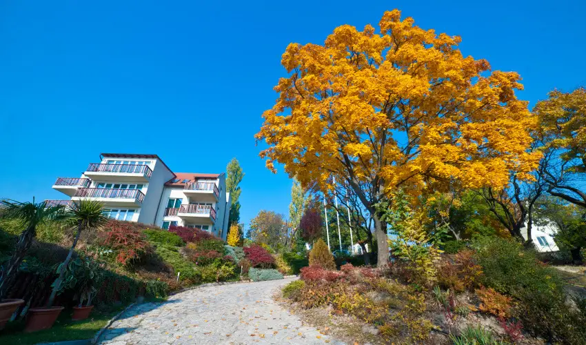 Echo Residence All Suite Hotel Tihany - Mjus 1. (min. 2 j)