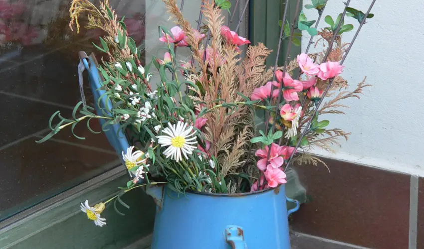 Edvy Malom Fogadó és Barokk Udvarház Pápa - Május 1. (min. 2 éj)