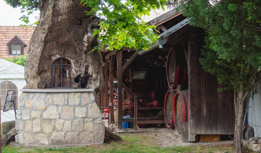 Edvy Malom Fogadó és Barokk Udvarház Pápa - Május 1. (min. 2 éj)