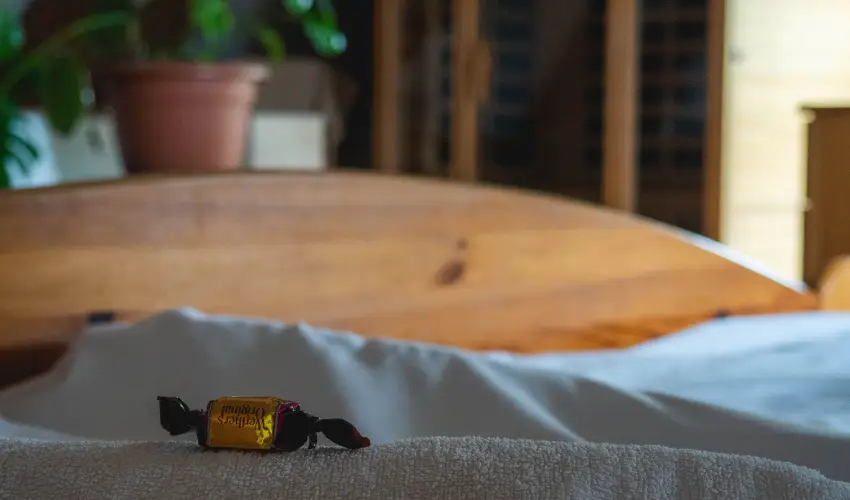 Edvy Malom Fogadó és Barokk Udvarház Pápa - Május 1. (min. 2 éj)