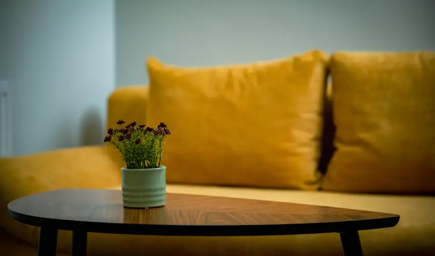 Eleven Business & Sport Hotel Jszrokszlls - Mjus 1.