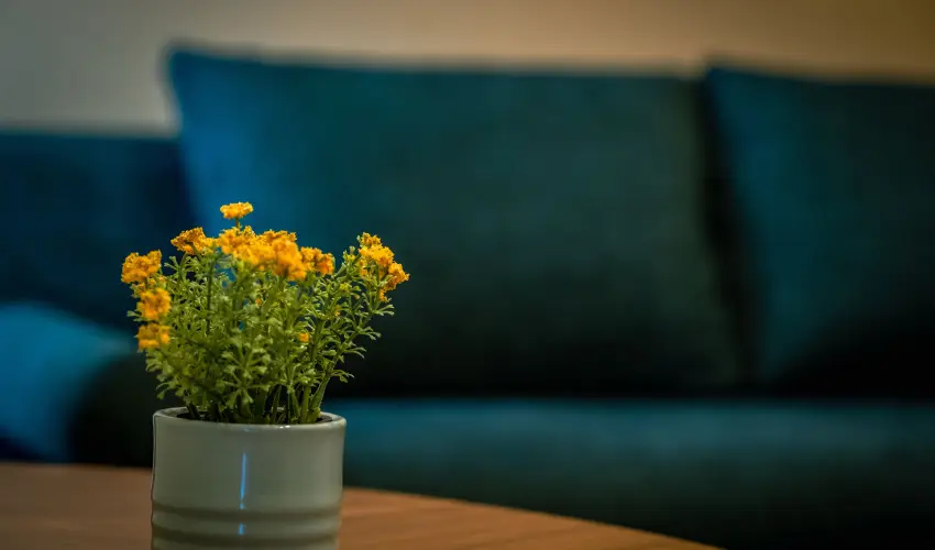 Eleven Business & Sport Hotel Jszrokszlls - Mjus 1.