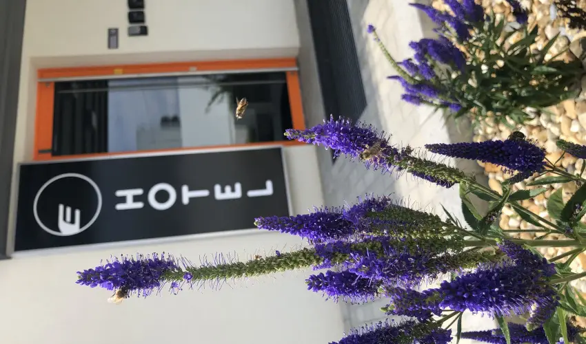 Eleven Business & Sport Hotel Jszrokszlls - Mjus 1.