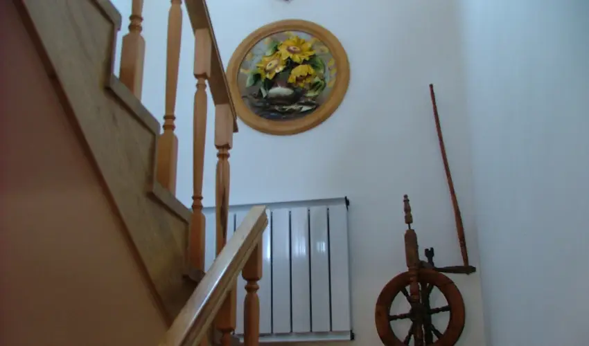 Szarvas Panzi� Erd�b�nye - M�jus 1. (min. 2 �j)