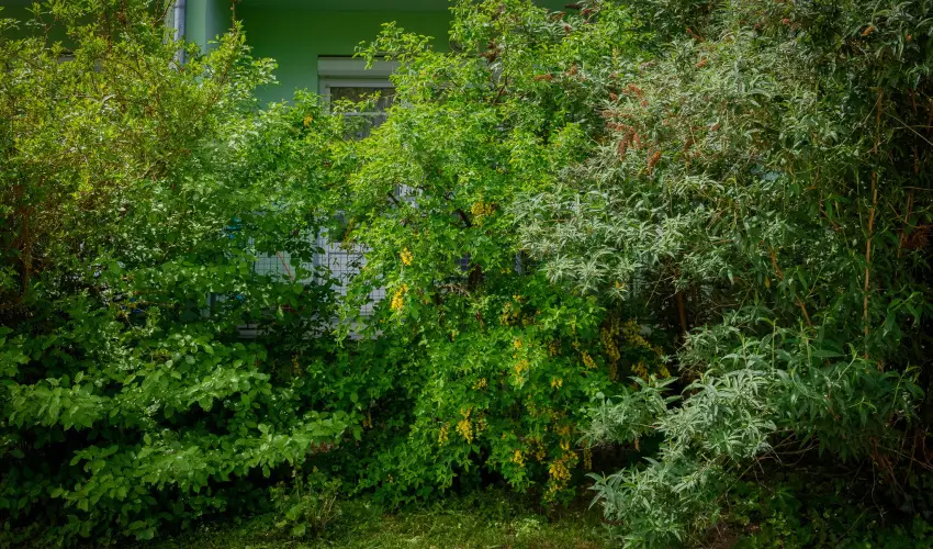 Erika Apartman Srvr - Mjus 1. (min. 2 j)