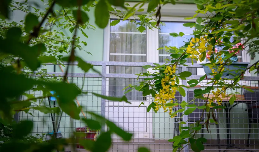 Erika Apartman Srvr - Mjus 1. (min. 2 j)