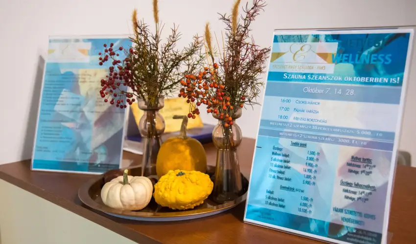 Erzsbet Nagy Szlloda Paks - Mjus 1.