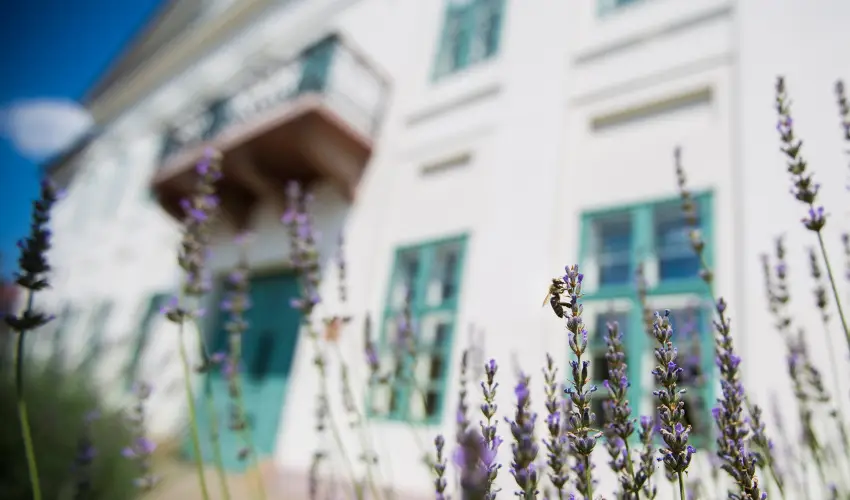 Erzsbet Nagy Szlloda Paks - Mjus 1.