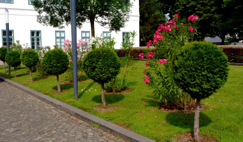 Erzsbet Nagy Szlloda Paks - Mjus 1.