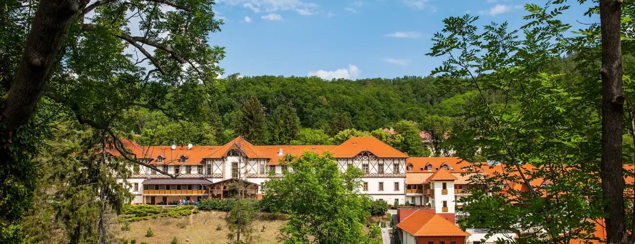 Erzsbet Park Hotel Pardfrd - Mjus 1.